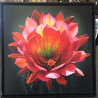 stretched canvas photo of plant