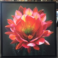 stretched canvas photo of plant